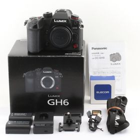 パナソニック(Panasonic)のPanasonic パナソニック DC-GH6(ミラーレス一眼)