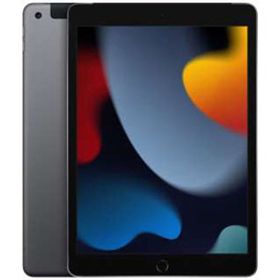 iPad 10.2インチ 第9世代[256GB] セルラー docomo スペースグ …