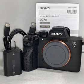 【2.9万回】SONY α7IV ilce-7m4 ボディ 本体