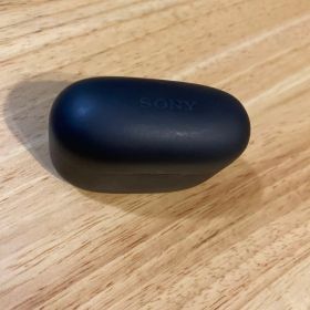 LinkBuds S WF-LS900N (B) [ブラック]