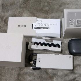 SONY LinkBuds S WF-LS900N ノイキャン 付属品完備