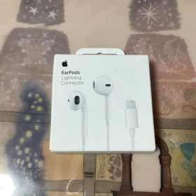 Apple EarPods with Lightning Connecter
