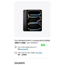 iPad Pro 11インチ M4 Wi-Fi ＋ Cellular 256GB(タブレット)