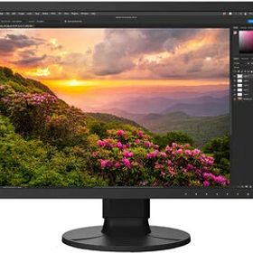 EIZO 液晶ディスプレイ 24.1型/1920×1200/ブラック CS2400S-BK