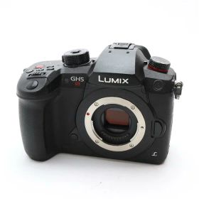 【中古】 《良品》 Panasonic LUMIX DC-GH5S ボディ 【背面外装カバー部品交換/左右三角環取付基部補修調整/各部点検済】 [ デジタルカメラ ]