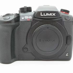 【4/4(土)20時〜全品ポイント10倍！要エントリー】パナソニック Panasonic ミラーレス一眼 ボディ フォーサーズ LUMIX DC-GH5S 【中古】