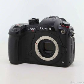【中古】Panasonic(パナソニック) DC-GH5S ボディ 【349-ud】