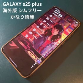 レア 美品 Samsung Galaxy S25+ ネイビー 海外版