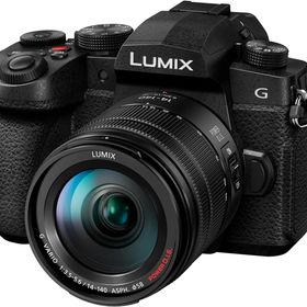 【中古】Panasonic パナソニック LUMIX DC-G99M2H レンズキット