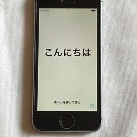 iPhone SE (第1世代) 16GB スペースグレー （専用イヤホン付）