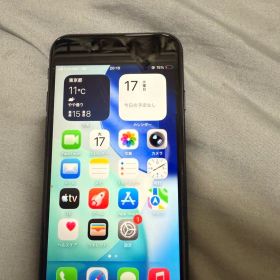 Apple iPhone SE 128GB ブラック sim: Free