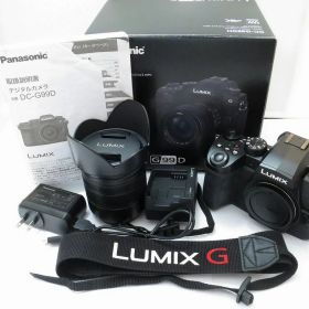 【6/20(土)20時〜全品ポイント10倍！要エントリー】パナソニック Panasonic ミラーレス一眼（レンズセット） LUMIX DC-G99D/H-FSA14140 【中古】