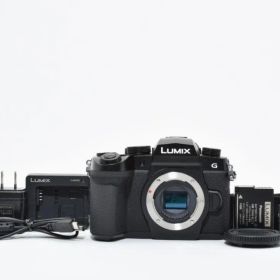 ★極上品★パナソニック LUMIX DC-G99D #1795