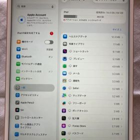 iPad Air3 64GB Cellular モデル