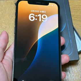 Apple iPhone 12 Pro グラファイト