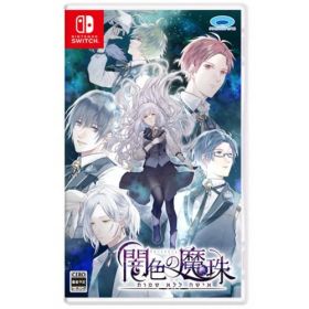 闇色の魔珠 【Switch】 HAC-P-BQWJA
