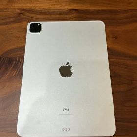 iPad Pro 11インチ 第2世代 256GB Wi-Fiモデル A2228