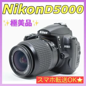 【極美品】初心者セット✨ 自撮りもOK！Nikon D5000 レンズキット