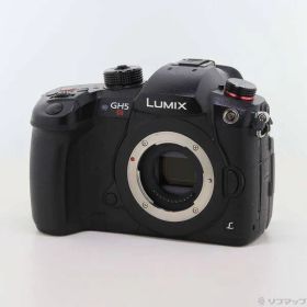 ソフマップ 〔中古品〕 DC-GH5S ボディ【349】