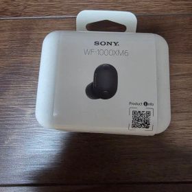 Sony WF-1000XM6 ワイヤレスイヤホン ブラック 美品
