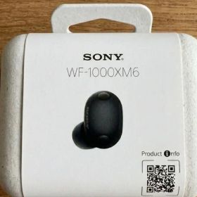Sony WF-1000XM6 ワイヤレスイヤホン ブラック 美品