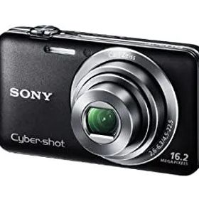ソニー SONY デジタルカメラ Cyber-shot WX30 (1620万画素CMOS/光学x5) ブラック DSC-WX30/B