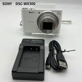 【簡易動作確認済】SONY Cyber-shot DSC-WX300 ホワイト