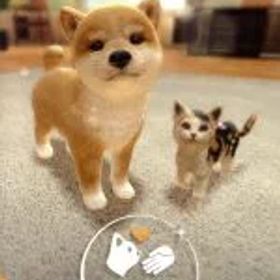 【中古】 LITTLE FRIENDS −DOGS ＆ CATS−／NintendoSwitch