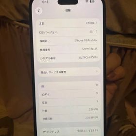 海外版iPhone 16 Pro Max 256GB,美品,バッテリー96％