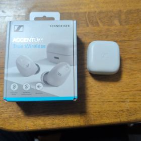 ACCENTUM True Wireless 保証期間内