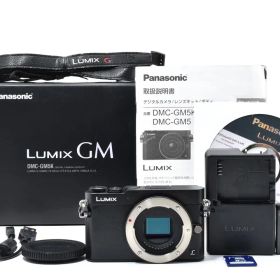 ■ほぼ新品■ パナソニック GM5 DMC-GM5-K #C913