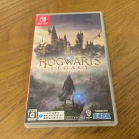 ホグワーツレガシー ソフト