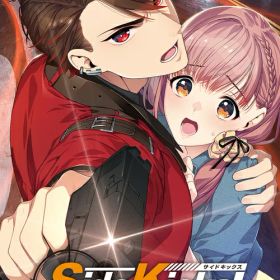 Side Kicks! Beyond[Nintendo Switch] [通常版] / ゲーム