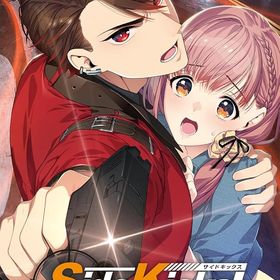 【Switch】Side Kicks! beyond