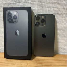 Apple iPhone 13 Pro グラファイト 本体 256GB