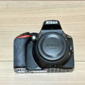 苫小牧バナナ】良品 Nikon/ニコン D5600 デジタル一眼レフカメラ