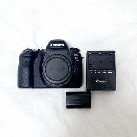 Canon EOS 6D Mark IIデジタル一眼レフ 動作確認済み
