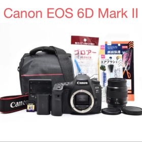 Canon EOS 6D Mark II / Canon EF 35-80mm