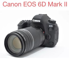 Canon EOS 6D Mark II / Canon EF 75-300㎜
