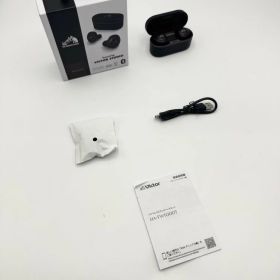 中古 JVCケンウッド Victor HA-FW1000T ワイヤレスイヤホン Bluetooth ノイズキャンセリング WOODシリーズ
