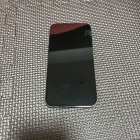 iPhone 13 Pro グラファイト