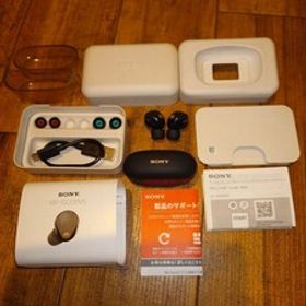 ソニー WF-1000XM5 ノイズキャンセリング ワイヤレスイヤホン