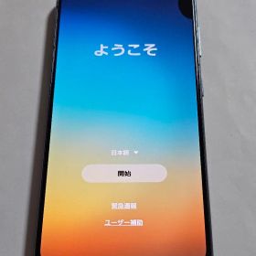 【ジャンク】Galaxy S21 5G 256GB au版SCG09 おまけ多数