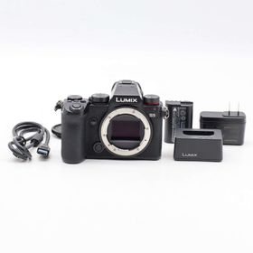 Panasonic LUMIX DC-S5 ボディ 10719回 #983(ミラーレス一眼)