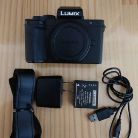 訳あり Panasonic パナソニック LUMIX ルミックス DC-G100