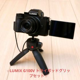 Panasonic LUMIX ミラーレス一眼 G100V DC-G100V
