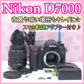 ⭐️本格撮影デビューにも⭐️Nikon D7000 ニコン デジタル一眼レフ