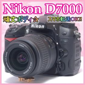 ⭐️スマホ転送OK⭐️Nikon D7000 ニコン デジタル一眼レフ