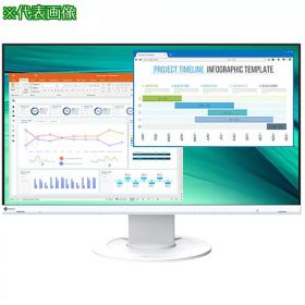 ■AS カラー液晶モニター EV2460-WT〔品番:4291103〕【3752875:0】[送料別途見積り][法人・事業所限定][掲外取寄][店頭受取不可]