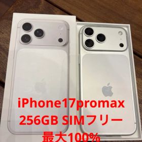 【極美品】iPhone17ProMax シルバー 256GB